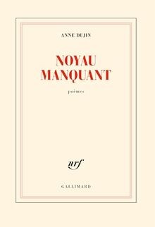 Noyau manquant dujin anne - de,