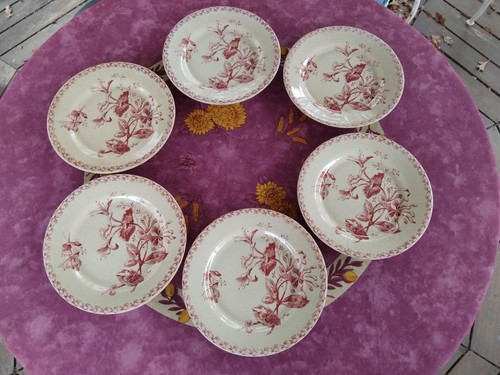 Assiettes plate terre fer - 6, de