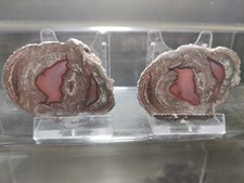 CRIS 29N OLD STOCK PAIRE DE LITHOPHYSE POLIE MASSIF DE L'ESTEREL VAR FRANCE