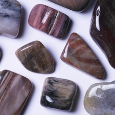 ★☆ BOIS FOSSILE de Madagascar - Pierres roulées à l'unité - 1,5 à 3 cm ☆★