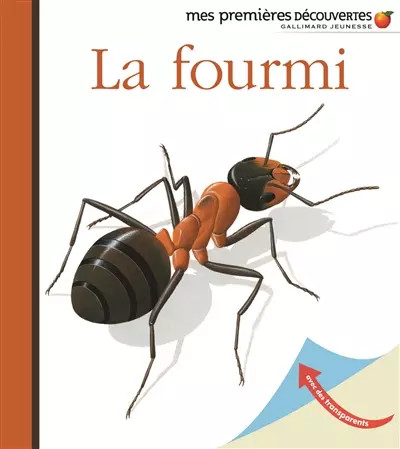 Fourmi mes premières - fourmi,