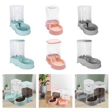 Chat Chien Abreuvoir