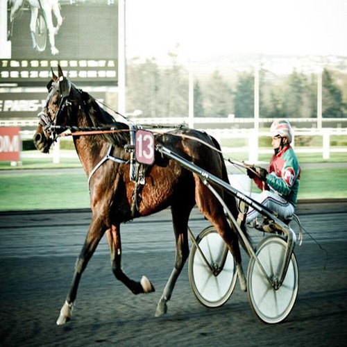 Méthode turf coda - turf,