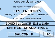 Place Spectacle Les Enfoirés