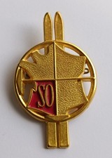 Insigne Ski Troupes Alpines 