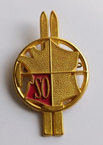 Insigne ski troupes alpines - insigne,