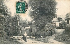 AISNE  SINCENY  le chemin des