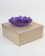 Coupe Jardin Imaginaire