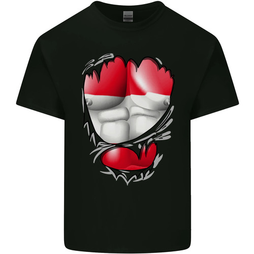 Shirt enfants garçons - t-shirt,