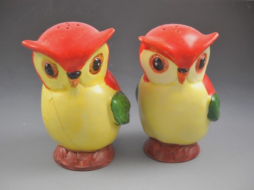 Germany owl bird - germany,