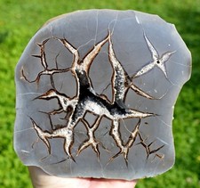 Septaria & Calcite 2790