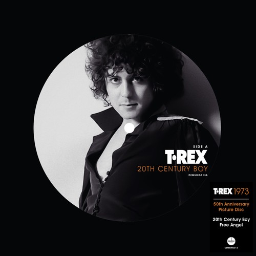 Rex 20th century - t.rex, (vinyl)