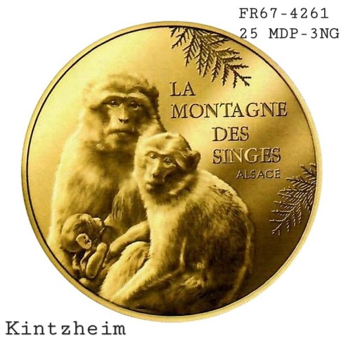 Jeton touristique monnaie - jeton,