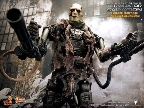 Hottoys the terminator - 1:6,