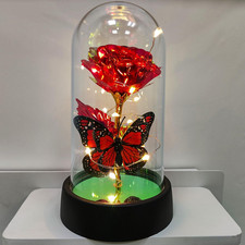 Rose in Glass Dome Light Up