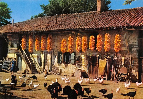 02-FERME
