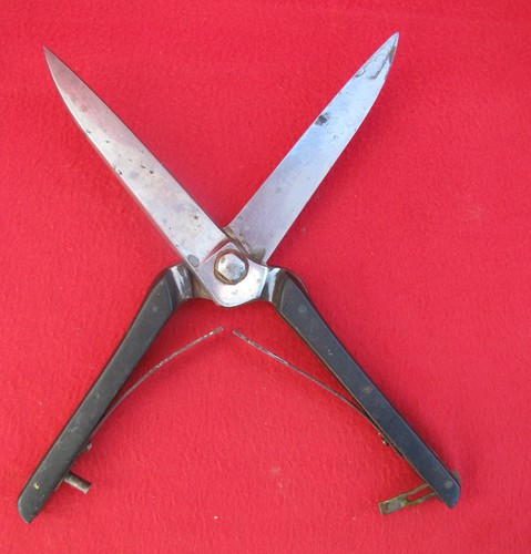 Cuisine ciseaux decouper - ciseaux, a