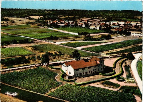 Cpa mailly champagne - cpa,