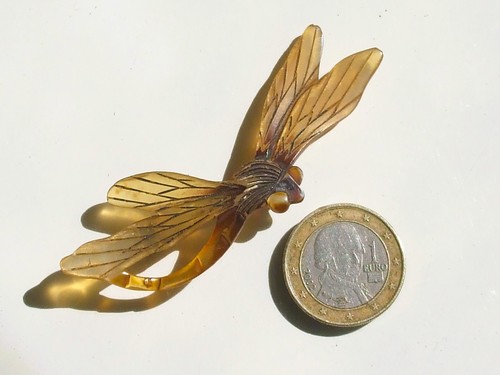 Belle broche libellule - belle,