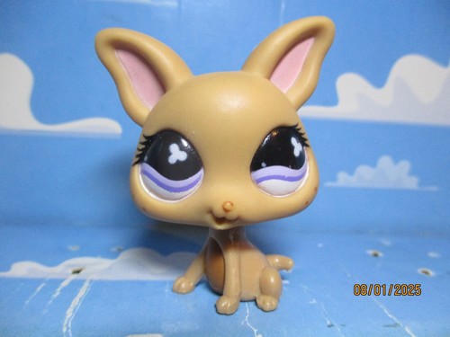 Petshop chien chihuahua 461 - petshop,