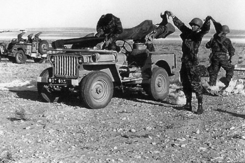 Militaria algérie jeep - militaria,