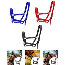 Licol pour cheval en sangle PP