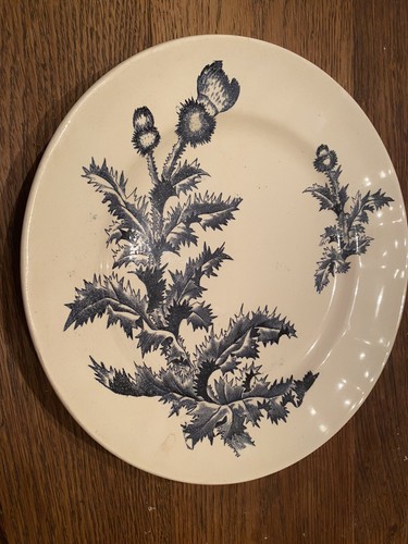 Jolie ancienne assiette - jolie,