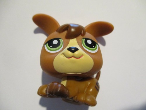Petshop bebe chien - bebe, (