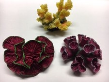 Corail D'Aquarium Reef