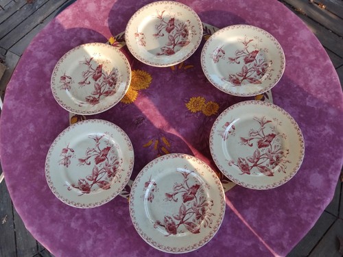 Assiette plate terre fer - 6,