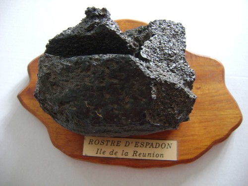 Rostre espadon sur - d’espadon, socle