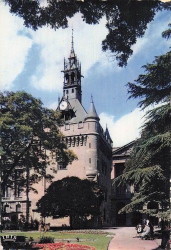 Toulouse cite des - toulouse, violettes