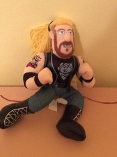 WWE WWF Diamond Dallas Paige