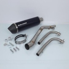 Pot Malossi Maxi Wild Lion