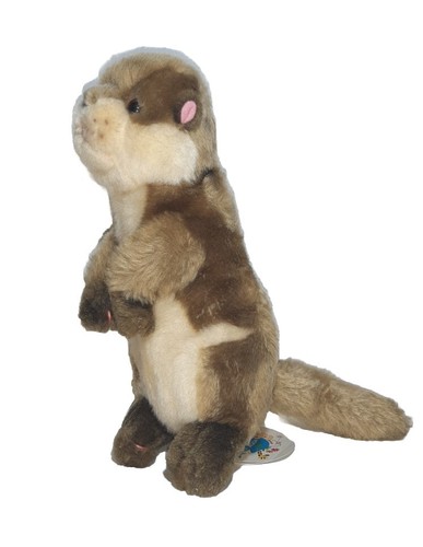 Peluche loutre mer eau - peluche,