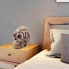 Résine Crâne Humain Tête