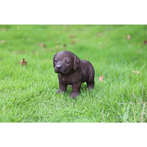 chiot labrador chocolat donner