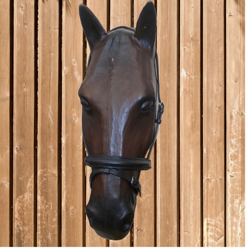 Euroriding riding holder - euroriding,