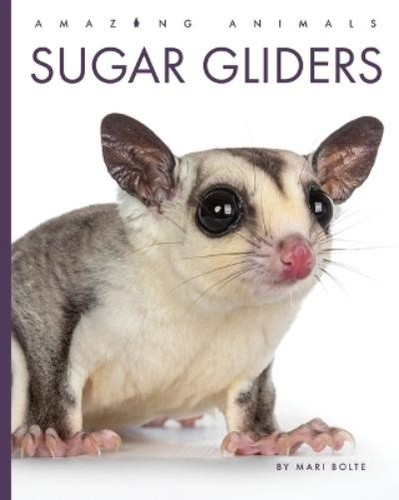 Mari bolte sugar gliders - mari,