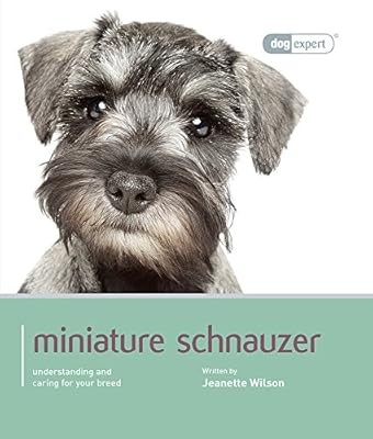 Miniature schnauzer - schnauzer:,
