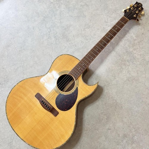 Guitare acoustique électrique