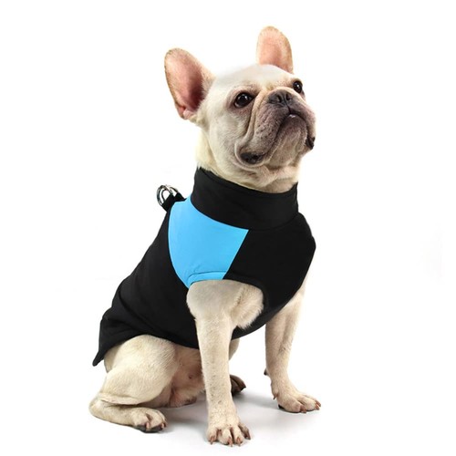 Manteau pour chien hiver - manteau,