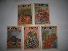 5 RUSTICA JANVIER 1955