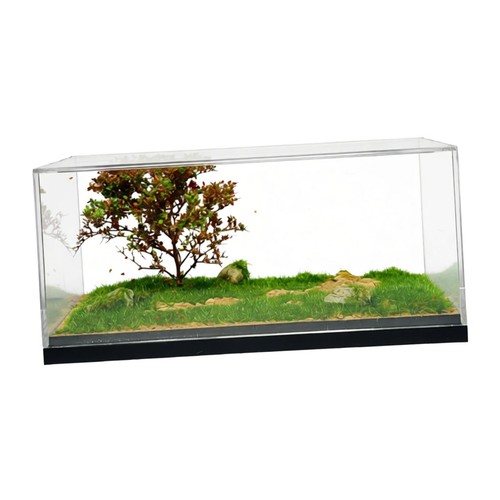Vitrine pour voiture miniature - vitrine,
