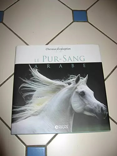 Pur sang arabe collectif - pur,