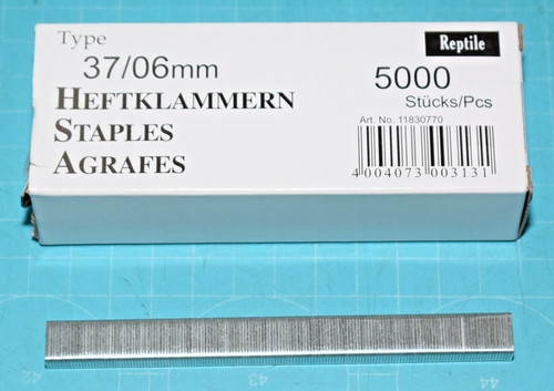 Boite 5000 agrafes reptile - agrafes,