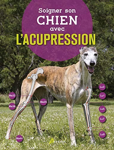 Soigner son chien avec