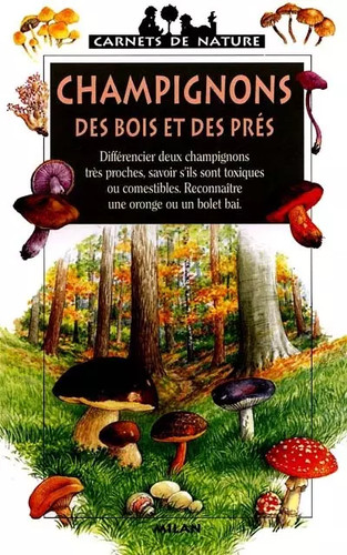 Champignons des bois - ,