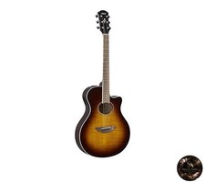 Guitare acoustique électrique