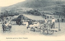 CARTE POSTALE AFRIQUE GUINEE ATTELAGE EXPLOITATION AGRICOLE